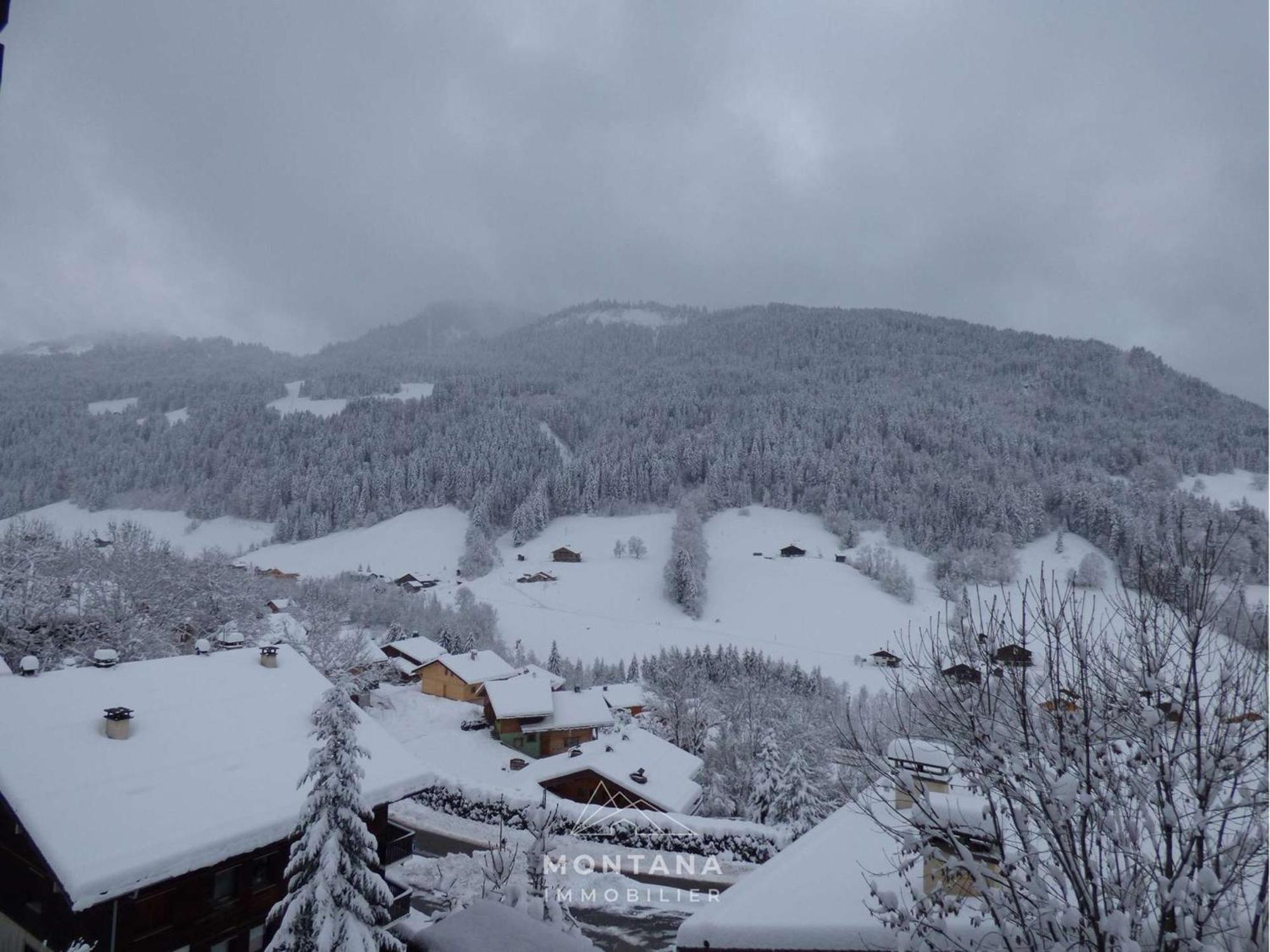 Studio Renove Avec Cabine - 26M² - 5 Pers - Balcon Expose Sud - Pres Skibus Et Remontees Mecaniques - Fr-1-458-125 Le Grand-Bornand Exterior photo